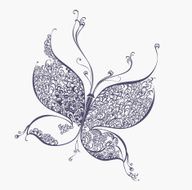 butterfly N41