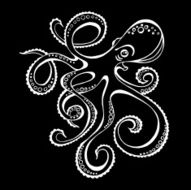 Hand-drawn octopus chalk