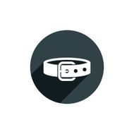 Belt vector icon isolated N2
