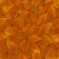 Transparent Autumn Leaves plus EPS10 N10