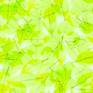 Transparent Autumn Leaves plus EPS10 N11