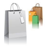 Paper Shopping Bags N5