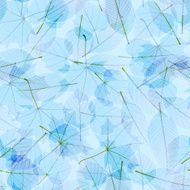 Transparent Autumn Leaves plus EPS10 N12