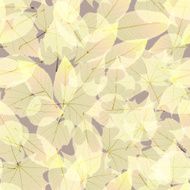 Transparent Autumn Leaves plus EPS10 N13
