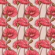 seamless background with flowers poppies