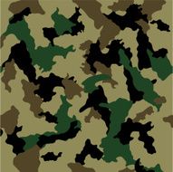 seamless camouflage N2