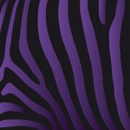 Zebra Stripes Pattern Pop Art Purple Vector