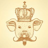 Sketch pig in crown with mustache vector background N2
