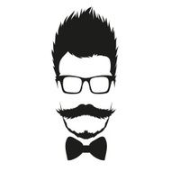 Fashion silhouette hipster style vector illustration N17