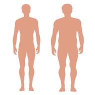 Slender and full male figures