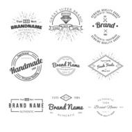 Retro Vintage Insignias or Logotypes Vector design elements