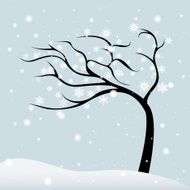 Winter Tree N13