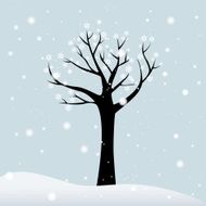 Winter Tree N14