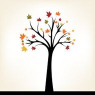 Autumn Tree N17