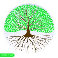 Green leafy tree in a circle Vector logo design template