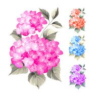 Purple flower hydrangea N4