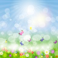 Summer holidays vector background