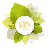 Autumn background with leaves N24