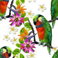 exotic birds and beautiful flowers