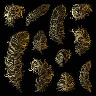 Beautiful Vintage Feathers N11