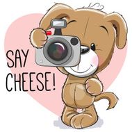 Puppy with a camera N2