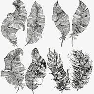 Vector set of feathers on a white background N5