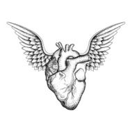 Hand drawn elegant heart with wings