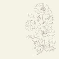 Poppy card
