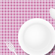 white plate on a checkered tablecloth N2