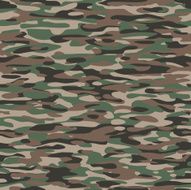 Camouflage Textile Pattern