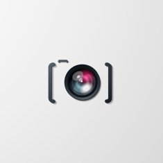 Photo camera icon N30