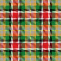 vector seamless pattern Scottish tartan N11
