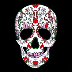 Vector Sugar Skull with ornament N8