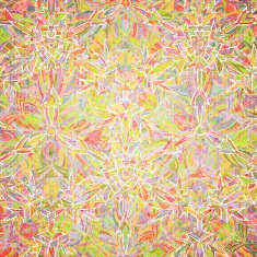 Vector seamless kaleidoscope pattern N13