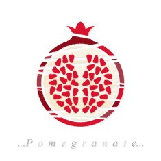 Vector of fruit pomegranate