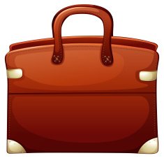 brown handbag N2