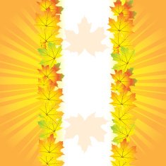 Autumn abstract background with leaf N12