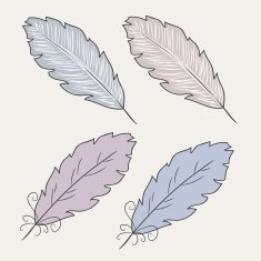 Vector illustration pf feathers