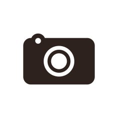 Camera Icon N80