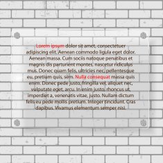 Frame on Brick Wall for Your Text and Images Vector N14