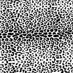 colorful textures of leopard N8
