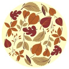 autumn leaf background N25