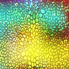 colorful textures of leopard N9