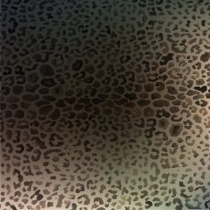 colorful textures of leopard N10