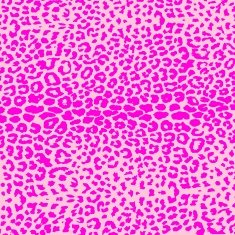 colorful textures of leopard N11