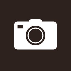 Camera Icon N81