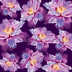 Paeonia suffruticosa peony ornament flower N2
