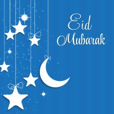 Moon Background for Muslim Community Festival Vector Illustratio N37