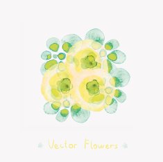 Flowers N135