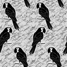 Seamless pattern black and white parrots